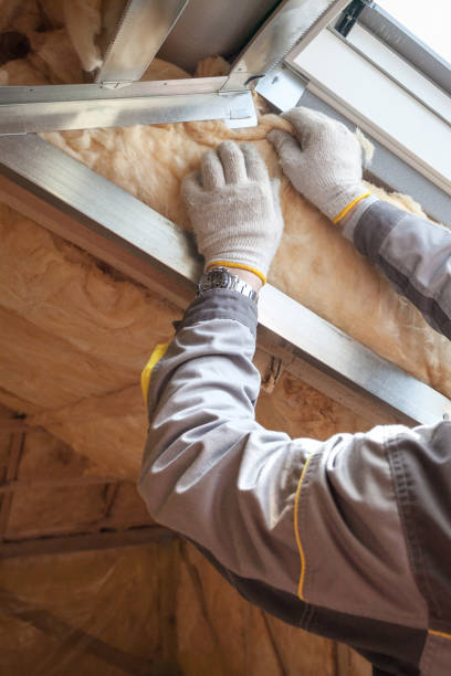 Best Insulation Maintenance and Repair in Pioche, NV